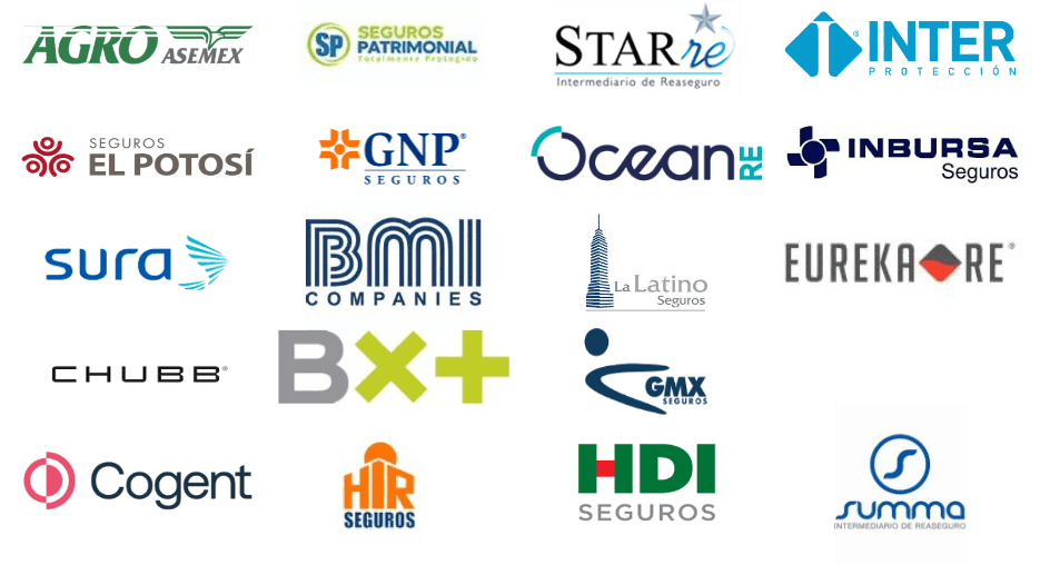 Epsilon Re partners